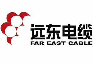 遠東電（diàn）纜